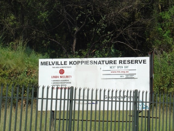 Melville Koppies Nature Reserve 